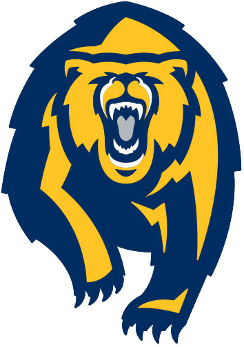 California Golden Bears 2013-Pres Alternate Logo iron on transfers for fabric
